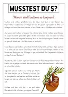 Vorschau - Arbeitsblätter - Warum sind Faultiere so langsam? - Leseförderung mit Sachwissen - Seite 1