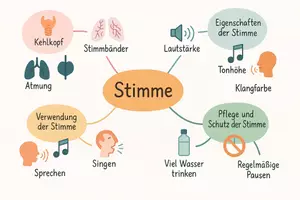 Vorschau - Arbeitsblätter - Arbeitsblätter zum Thema "Stimme" + Lösung & MP3 + Mindmap + Infografik - Seite 2