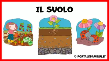 anteprima - Presentazioni / Lavagne - Il Suolo - Unità didattica - Pagina 1