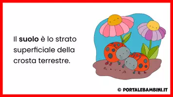 anteprima - Presentazioni / Lavagne - Il Suolo - Unità didattica - Pagina 2