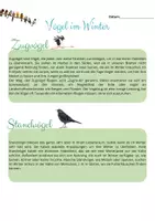 Vorschau - Merkblätter - Vögel im Winter - Unterscheidung verschiedener Überwinterungsstrategien - Seite 1