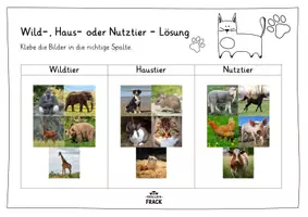 Vorschau - Arbeitsblätter - Arbeitsblatt Haus-, Wild- und Nutztiere - Seite 3