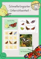 Vorschau - Stundenentwürfe - Schmetterling Arten Fotokartei Leporello Unterrichtseinheit - Deckblatt