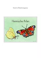 Vorschau - Stundenentwürfe - Schmetterling Arten Fotokartei Leporello Unterrichtseinheit - Seite 3