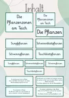 Vorschau - Präsentationen/Tafelbilder - Tafelbild: Die Pflanzenzonen am Teich/ See/ Weiher - Seite 1