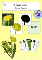 Vorschau - Fördermaterial/Inklusion - Löwenzahn - Paare finden - Deckblatt