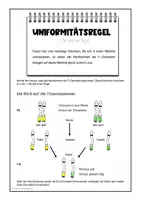 Vorschau - Arbeitsblätter - Materialpaket Basic: ABs zur klassischen Genetik (Mendel'sche Regeln) - Seite 3