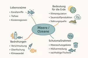 Vorschau - Arbeitsblätter - Arbeitsblätter zum Thema "Meere / Ozeane" + Lösung & MP3 + Mindmap + Infografik - Seite 2