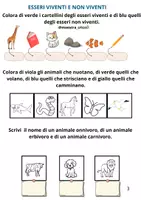 anteprima - Materiale di supporto/inclusione - VERIFICA DI SCIENZE - Pagina 2