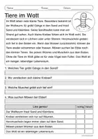 Vorschau - Arbeitsblätter - Lesen & Verstehen - An der Nordsee (Klasse 1/2) - Seite 3