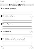 Vorschau - Arbeitsblätter - AB Amphibien und Reptilien | Arbeitsblätter mit Fragen + Lösungen - Seite 2