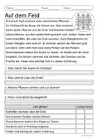 Vorschau - Arbeitsblätter - Lesen & Verstehen - Auf dem Bauernhof (Klasse 1/2) - Seite 2