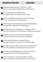 Vorschau - Arbeitsblätter - AB Anatomie Mensch | Arbeitsblätter mit Fragen + Lösungen - Seite 3