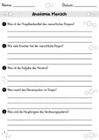 Vorschau - Arbeitsblätter - AB Anatomie Mensch | Arbeitsblätter mit Fragen + Lösungen - Seite 1