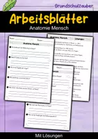 Vorschau - Arbeitsblätter - AB Anatomie Mensch | Arbeitsblätter mit Fragen + Lösungen - Deckblatt