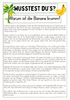 Vorschau - Arbeitsblätter - Warum ist die Banane krumm? - Leseförderung mit Sachwissen - Seite 1