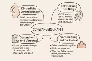 Vorschau - Arbeitsblätter - Arbeitsblatt "Schwangerschaft" + Onlineübung & MP3 + Mindmap + Infografik - Seite 2