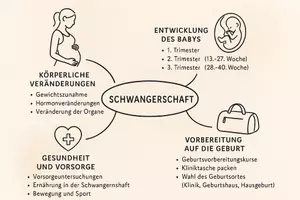 Vorschau - Arbeitsblätter - Arbeitsblatt "Schwangerschaft" + Onlineübung & MP3 + Mindmap + Infografik - Seite 3