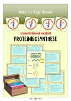 Vorschau - Merkblätter - Proteinbiosynthese - Vom Gen zum Protein (Lernkartei) - Deckblatt