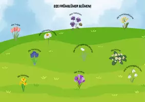 Vorschau - Anderer Materialtyp - Die Frühblüher blühen! - (Turn-)Spiel - Seite 3