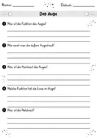 Vorschau - Arbeitsblätter - AB Das Auge | Arbeitsblätter mit Fragen + Lösungen - Seite 1