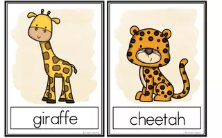 Vorschau - Bildkarten - Safari - Flashcards - Seite 2