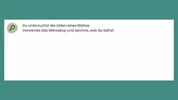 Vorschau - Stundenentwürfe - pflanzliche Zellen inkl Lösungen, Spiel & Raster - Zellen Teil 3 - Biologie - Seite 2
