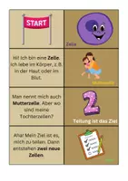Vorschau - Spiele - Legespiel Mitose / Zellteilung - Biologie - Seite 1
