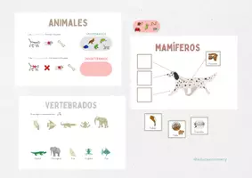 Vista previa - Refuerzo / NEE / Materiales de apoyo - Animales vertebrados e invertebrados - Portada