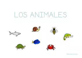 Vista previa - Refuerzo / NEE / Materiales de apoyo - Animales vertebrados e invertebrados - página 1