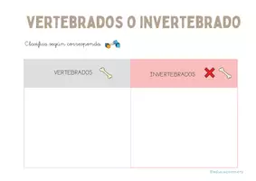 Vista previa - Refuerzo / NEE / Materiales de apoyo - Animales vertebrados e invertebrados - página 3