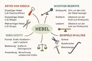 Vorschau - Arbeitsblätter - Arbeitsblatt "Hebel" + Onlineübung & MP3 + Mindmap + Infografik - Seite 3