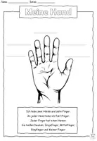 Vorschau - Arbeitsblätter - "Meine Hand" der Körper DaZ - Seite 1