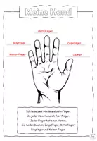 Vorschau - Arbeitsblätter - "Meine Hand" der Körper DaZ - Seite 2
