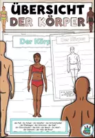 Vorschau - Arbeitsblätter - Der Körper - Übersicht zum Beschriften - DaZ / DaF / Deutsch - Deckblatt