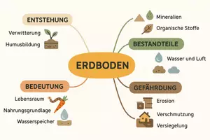 Vorschau - Arbeitsblätter - Arbeitsblatt zum Thema "Erdboden" + Onlineübung & MP3 + Mindmap - Seite 1