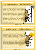 Vorschau - Text - Differenzierte Wissenskarten - Aufgaben der Arbeitsbiene - Seite 3