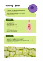Vorschau - Arbeitsblätter - Auftrag Präsentation "Zellen" inkl. Bewertungsraster - Biologie - Seite 1