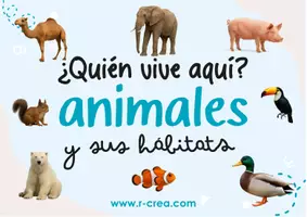 Vista previa - Unidades / Secuencias / Situaciones de Aprendizaje - Juego Montessori de Sombras - Educativo para Mesa de Luz - Portada