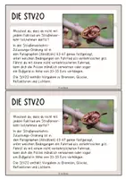 Vorschau - Arbeitsblätter - Das verkehrssichere Fahrrad: Lesekartei und Legeübung - Seite 1