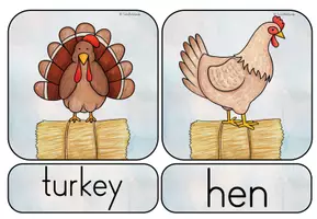 Vorschau - Bildkarten - Flashcards - "animals" - Seite 3