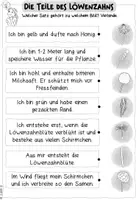 Vorschau - Arbeitsblätter - Der Aufbau des Löwenzahns (Klasse 1) - Seite 3
