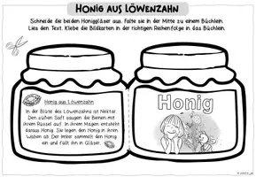 Vorschau - Arbeitsblätter - Löwenzahn: Nahrungsquelle für Tier und Mensch (Kl. 1) - Seite 2