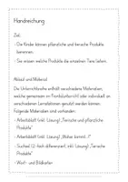 Vorschau - Stundenentwürfe - Bauernhof tierische und pflanzliche Produkte Unterrichtseinheit - Seite 2