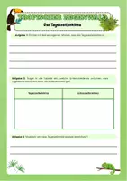Vorschau - Arbeitsblätter - Tropischer Regenwald - Das Tageszeitenklima - Seite 3