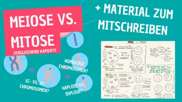 Vorschau - Arbeitsblätter - AB Mitose vs. Meiose + 0€ Erklärvideo + Extra-AB (ggf. Selbstlerneinheit) - Deckblatt