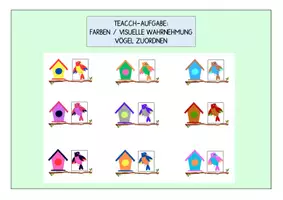 Vorschau - Arbeitsblätter - Farbzuordnung Vögel / visuelle Wahrnehmung / Klettmappe - Deckblatt