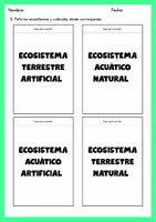 Vista previa - Unidades / Secuencias / Situaciones de Aprendizaje - Ecosistemas y cadena alimentaria (CAST/CAT) - página 3