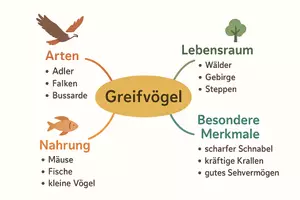 Vorschau - Arbeitsblätter - Arbeitsblatt zum Thema "Greifvögel" + Onlineübung & MP3 + Mindmap + Infografik - Seite 3