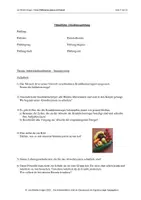 Vorschau - Arbeitsblätter - mündl. Abschlussprüfung Infektionskrankheiten 9.-10. Klasse - Seite 3